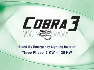 stand by emergency lighting inverter
