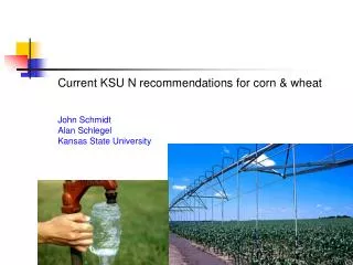Current KSU N recommendations for corn &amp; wheat John Schmidt Alan Schlegel Kansas State University