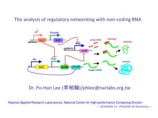 The analysis of regulatory networking with non-coding RNA
