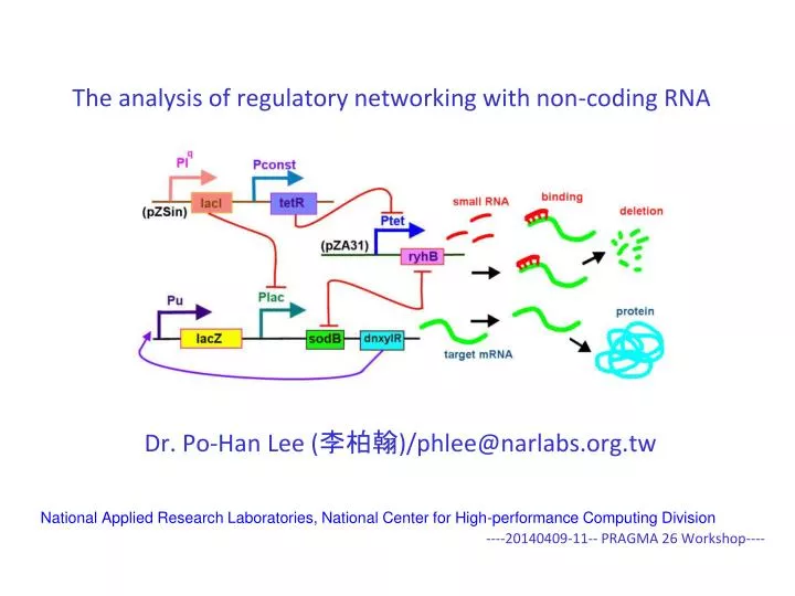 the analysis of regulatory networking with non coding rna