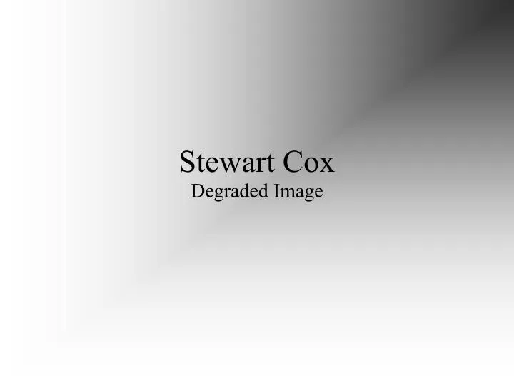 stewart cox