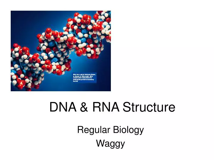 dna rna structure