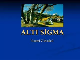 alti s gma