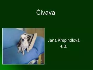ivava
