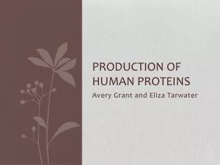 Production of Human Proteins