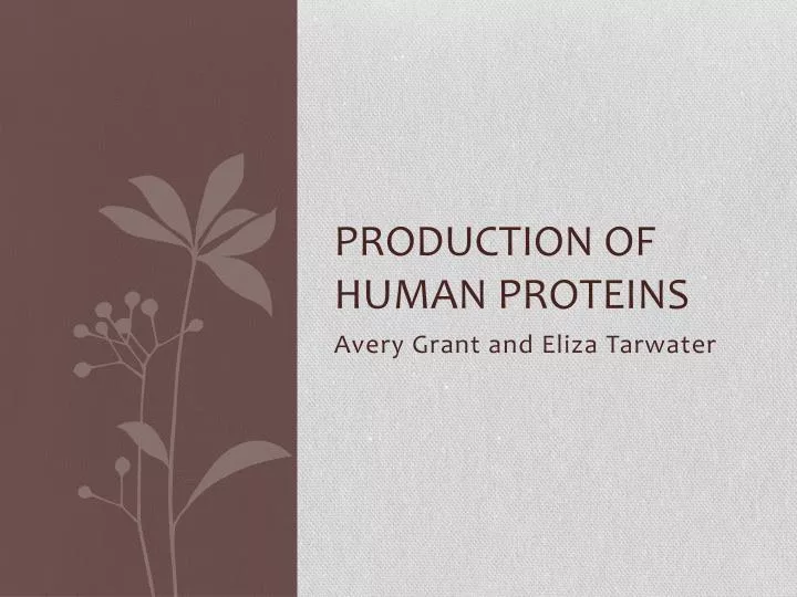 production of human proteins
