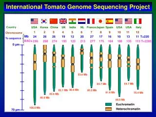 International Tomato Genome Sequencing Project