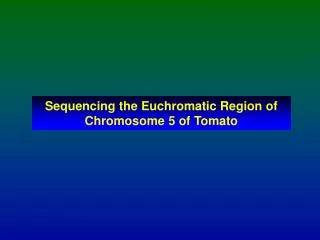 Sequencing the Euchromatic Region of Chromosome 5 of Tomato