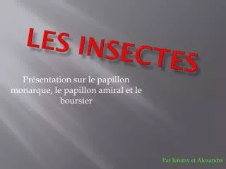les insectes