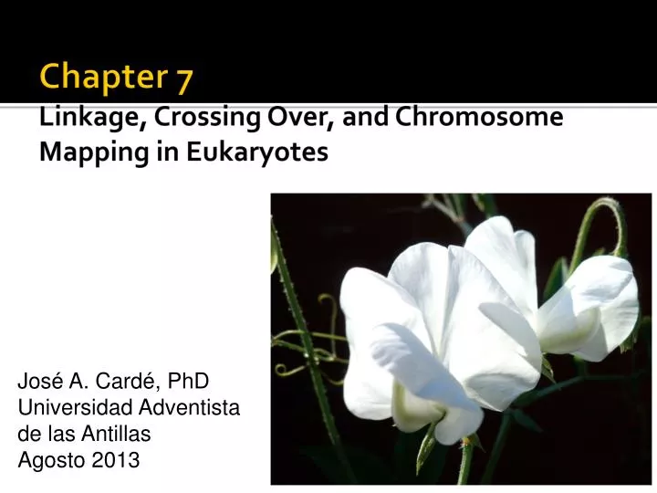 chapter 7 linkage crossing over and chromosome mapping in eukaryotes