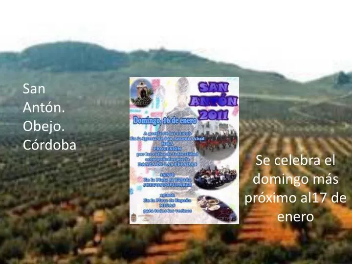 fiestas y tradiciones relacionadas con la recogida de la aceituna