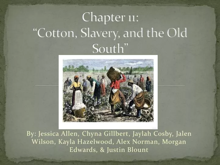 chapter 11 cotton slavery and the old south
