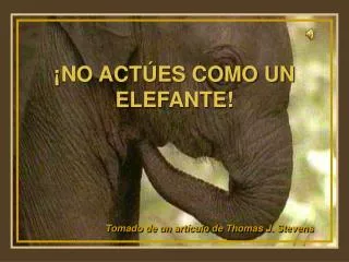 no act es como un elefante
