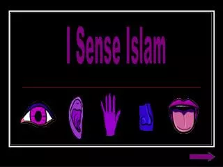 I Sense Islam