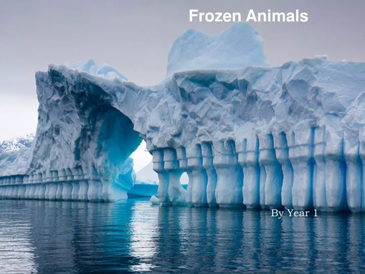 frozen animals