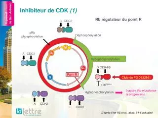 inhibiteur de cdk 1