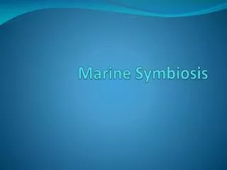 Marine Symbiosis