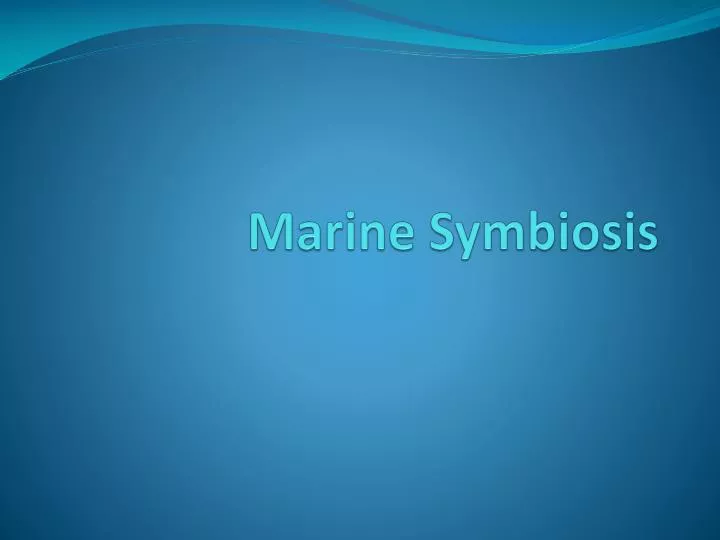 marine symbiosis