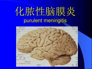 purulent meningitis