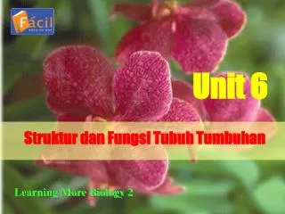 Struktur dan Fungsi Tubuh Tumbuhan