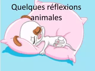 quelques r flexions animales