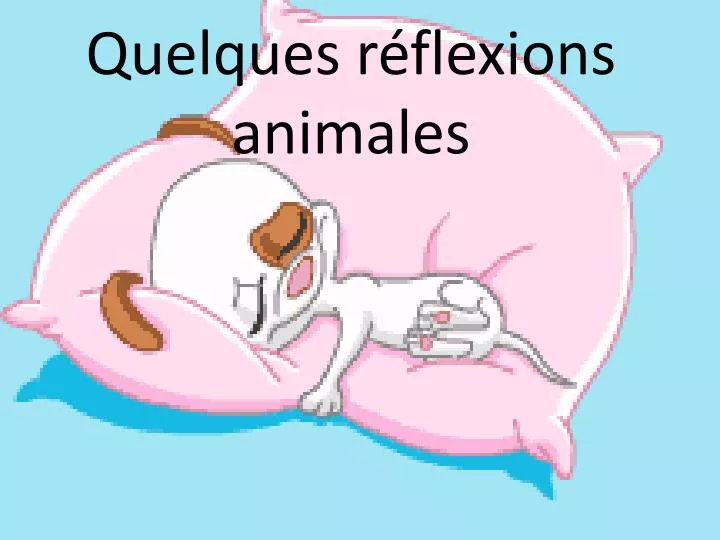 quelques r flexions animales