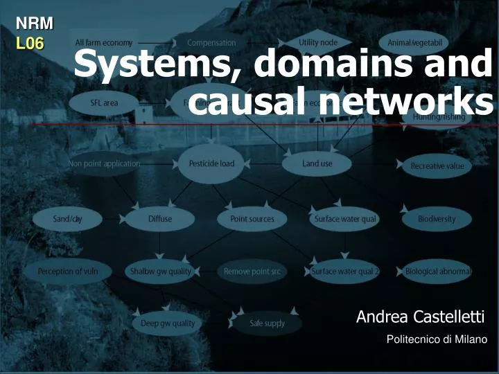 systems domains and causal networks