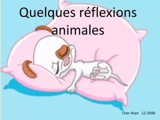 quelques r flexions animales