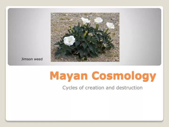 mayan cosmology