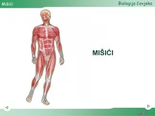 mi i i