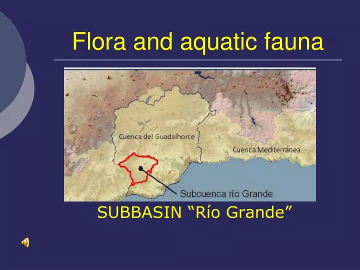 flora and aquatic fauna