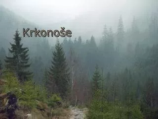 krkono e