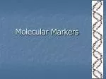 PPT - MOLECULAR MARKERS PowerPoint Presentation, free download - ID:6216697