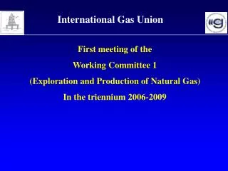 First meeting of the Working Committee 1 (Exploration and Production of Natural Gas)