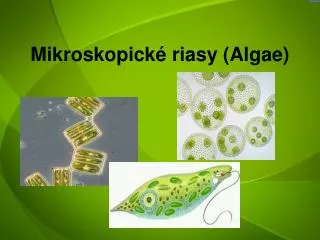 Mikroskopické riasy ( Algae )