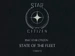 State of the Fleet: Star Citizen Report - slide 1