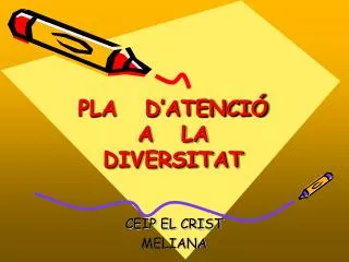 pla d atenci a la diversitat