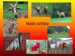 na e zv ata