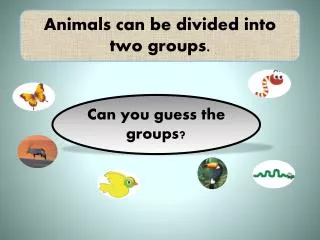 Animals can be divided into two groups.