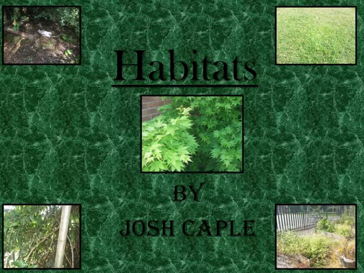 habitats