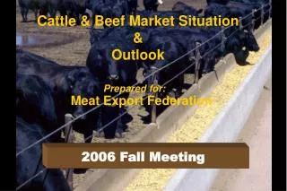 Cattle &amp; Beef Market Situation &amp; Outlook
