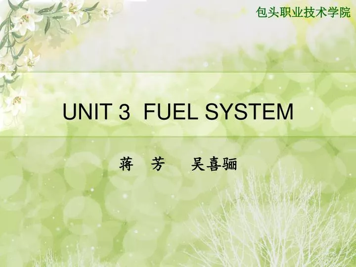 unit 3 fuel system