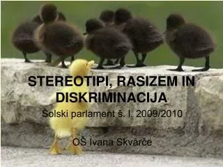stereotipi rasizem in diskriminacija