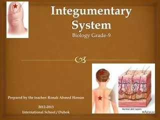 Integumentary System Biology Grade-9