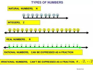 number lines