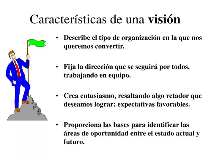 caracter sticas de una visi n