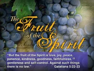 The Root of Fruit