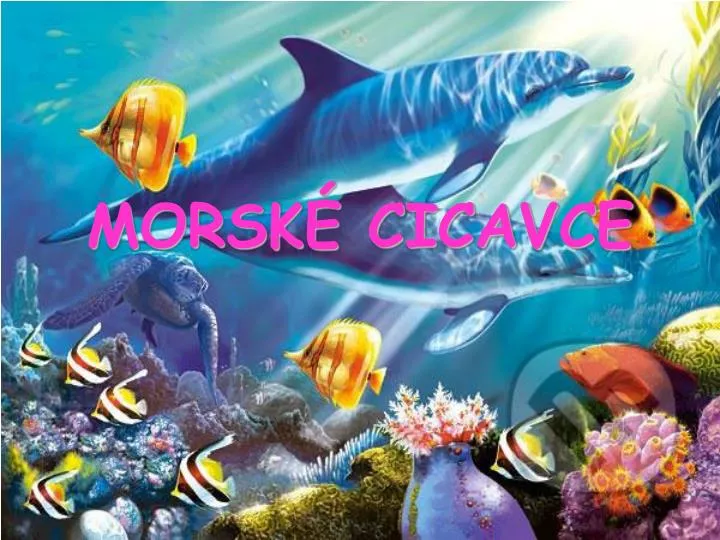 morsk cicavce