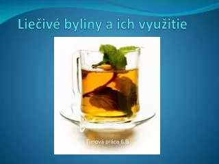 lie iv byliny a ich vyu itie