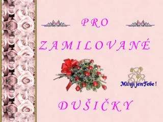 p r o